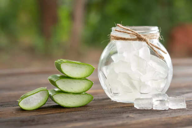 aloe vera gels are best in reducing inflammation in the lips