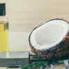 coconut and almond oils are the best natural moisturizers