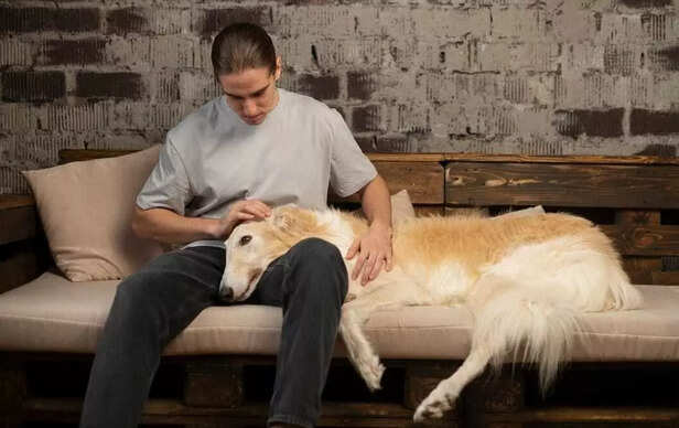 Healing brings fear of separation, not independence..