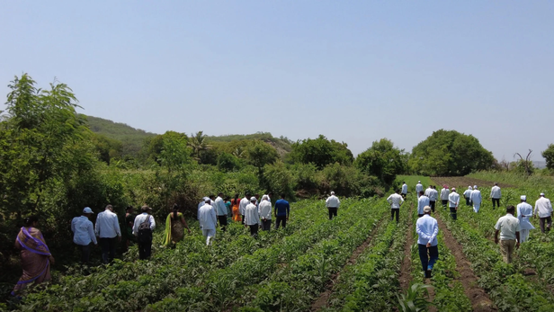 जब पढ़े-लिखे युवा खेत में उतरते हैं, तो किस्मत बदलती ही है।