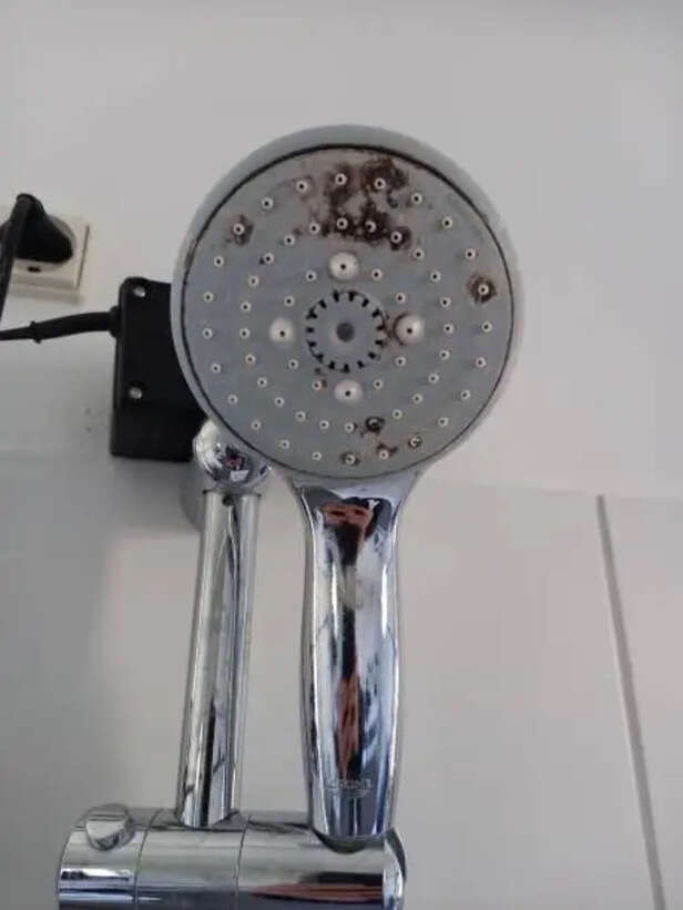 What’s really flowing from your showerhead?