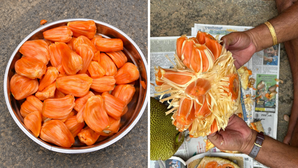 तांबे-लाल गूदे वाला ‘सिद्धू’ कटहल