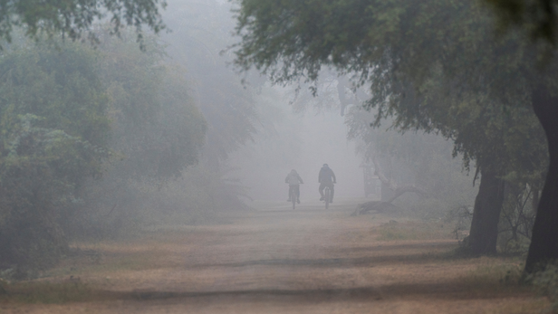 ठंड कुछ कम, पर कोहरा और बारिश बढ़ाएंगे मुश्किल।