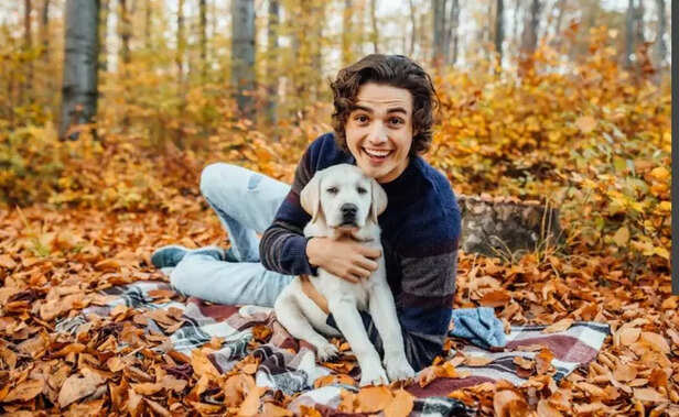 When pets feel understood, the bond becomes stronger than words..