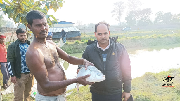बकरी, मछली और खेती का मॉडल।