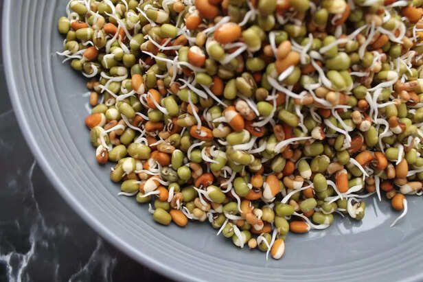 Sprouts for Skin &amp; Hair