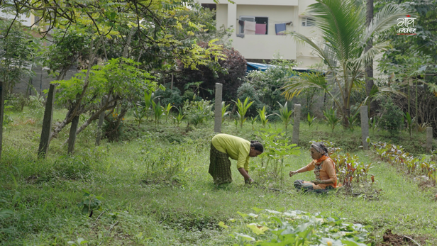 जहाँ बीज बन रहे हैं उम्मीद, जलवायु संकट में खेती बचाने की पहल।