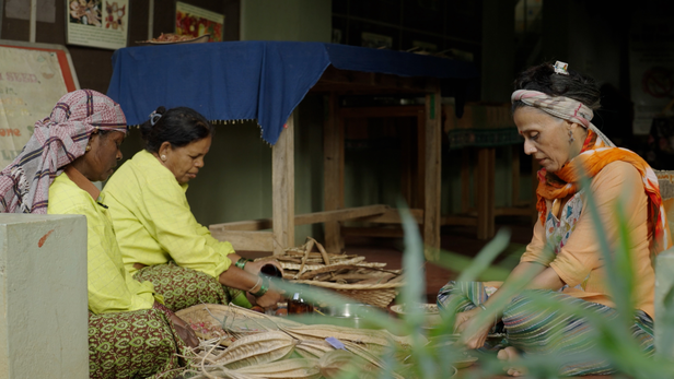 संगीता को एहसास हुआ कि ये बीज कितने कीमती हैं, लेकिन इन्हें देखने, पूछने और समझने वाला शायद ही कोई बचा है।