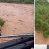 Man Risks His Life To Rescue Dog Trapped In Raging Waters In Chandigarh