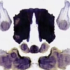 This Optical Illusion Inspired By Rorschach Test Will Unveil Your True ...