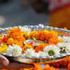 Chrysanthemums and Marigolds are Used for Puja