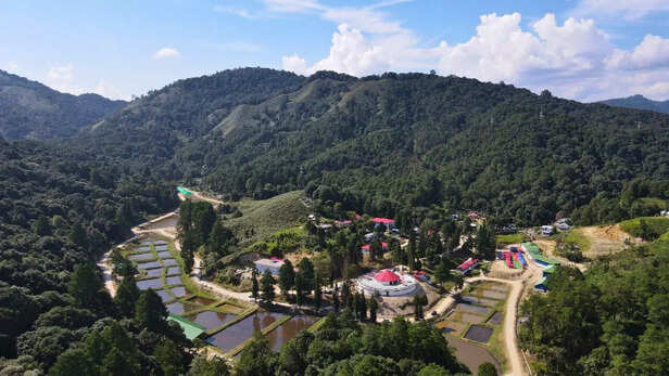 जीरो एक्वापार्क में शुरू हुई रेनबो ट्राउट की पायलट हैचिंग, किसानों की आमदनी बढ़ाने की तैयारी।