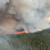 Record Breaking! Nearly 900 Wildfires Burn Across Canada, Of Which 580 ...