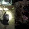 'Stay Safe Sweet Child': Netizens Elated After Rescue Team Saves ...