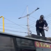 'Humanity At Its Best': Traffic Cop Saves Bird Caught In Kite Thread ...