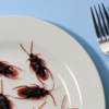 Chef Annoyed With Restaurant After Fight Over Unpaid Holiday Pay ...
