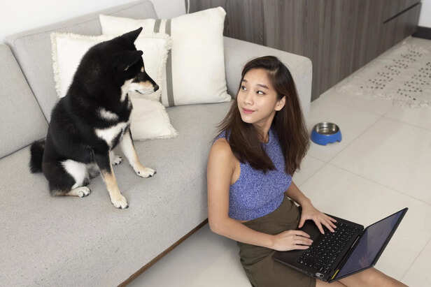 Understanding your dog's body language