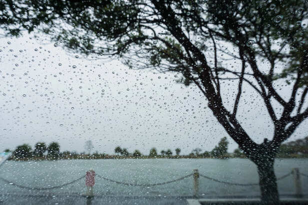 दिल्ली-एनसीआर में 23 जनवरी को हल्की बारिश और गरज के साथ तेज़ हवाएं चल सकती हैं। 