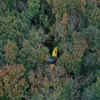 Plane Crashes Seconds After Takeoff, Leaves Pilot & Passengers Stuck 40 ...