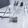 Explained: What Is Click Chemistry And Who Won Nobel Prize For Creating It