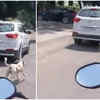 Jodhpur: Video Shows Dog Tied To A Car Being Dragged, Case Registered ...