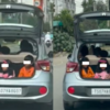 Hyderabad: Man Seen Driving With Kids In Car Boot, Fined For Reckless ...
