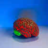 New 20-Minute Treatment Can Reverse Memory Loss, Scientists Say