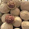 Viral Video Shows Ancient Grape-preservation Technique Used In Afghanistan