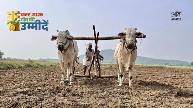 बजट को लेकर ज़्यादातर किसानों का यही कहना है कि उन्हें उनकी उपज का यही दाम मिले और समय पर सही दाम पर उन्हें उर्वरक मिल जाए।