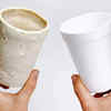 Biodegradable Styrofoam Is Made From Plastic-Eating Mealworms: Here's How