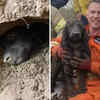 Moment Of Relief! Firefighters Rescue Dog Trapped Underground For Over ...