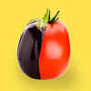 Meet India's 'Brimato', A Hybrid Plant That Yields Both Tomato And Brinjal