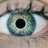 How Much For Your Data? This Company Gives Free Crypto For Your Eye ...