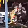 Watch: Elephant Goes Berserk In Kerala Temple, Throws Mahout To The ...