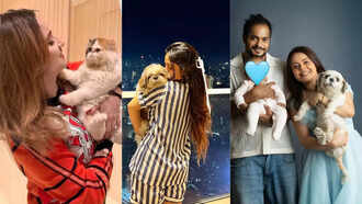 From Ankita Lokhande to Ashnoor Kaur: TV celebs who are very emotionally attached to their pets