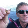 Diver Finds Man's Lost Wedding Ring, Helps Him Reunite With It Through ...