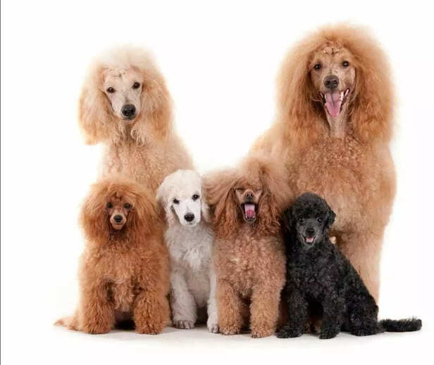 Aging is natural, but healthy aging comes from daily care..