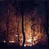 Wildfire At Similipal, Asia's 2nd Largest Biosphere Should Be A Major ...