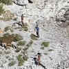 Two Men And A Woman Rescued After Being Stranded On An Island For 33 Days