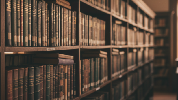 A Library Full of Books (Image Credit: AI)