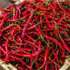 Eating Chilli Could Reduce Cancer Risk, Cardiovascular Diseases Claims ...