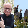 Indian Conservationist Who Saved Vultures From Extinction Gets Top UK ...