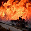 Watch: Unbelievable Speed Of Wildfires Burn Acres Of Land Within Seconds