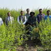 जलवायु परिवर्तन के दौर में यह तकनीक और भी जरूरी हो जाती है।