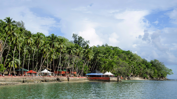 मत्स्य पालन, हैचरी, खुले समुद्र में पिंजरा मछली पालन, सजावटी मत्स्य पालन, मूल्यवर्धित उद्यम, कोल्ड-चेन लॉजिस्टिक, मछली का परिवहन और सामुदायिक सहायता प्रणालियों में विकास संभव हुआ है।