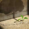 Change within ends repetition outside