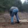 Man Saves Wolf's Life By Putting His Own At Risk, Watch Hair-Rising Video