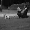 Digital distraction, pet distress