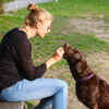 Mindful pet parenting