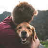 when words fail paws help